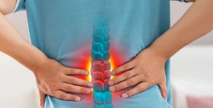 7 vị thuốc nam tốt cho người đau lưng