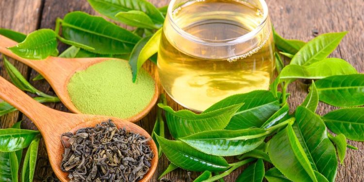 Thảo mộc và gia vị nào tốt cho người nhiễm HIV?