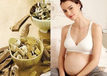 Phụ nữ mang thai có nên uống thuốc bắc bồi bổ cơ thể?
